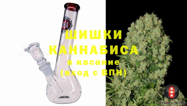 шишки Алзамай