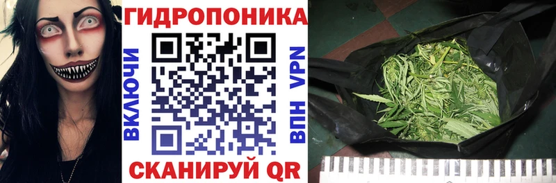 где можно купить наркотик  Холм  Канабис гибрид 